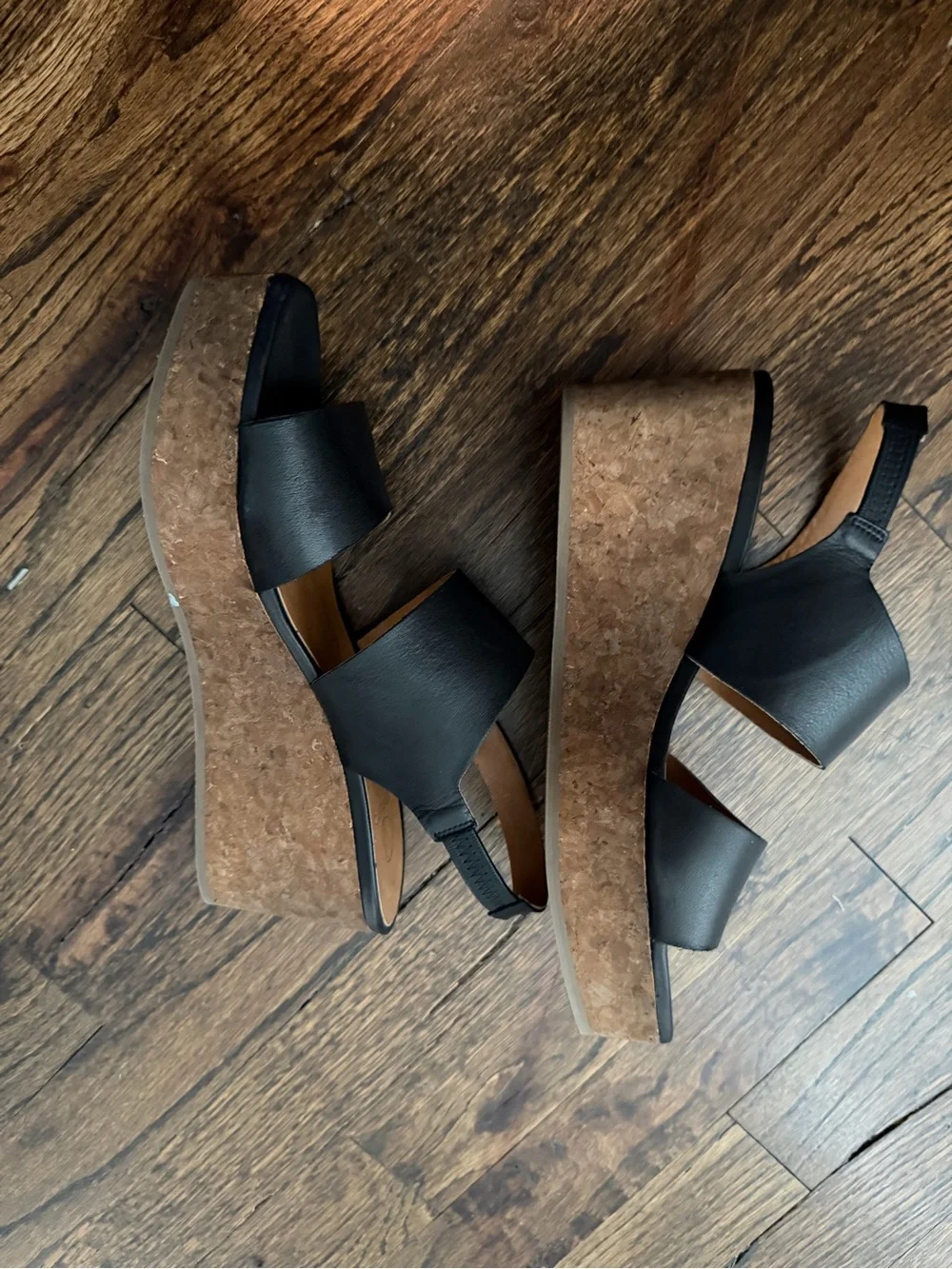 Coclico wedge size 7.5